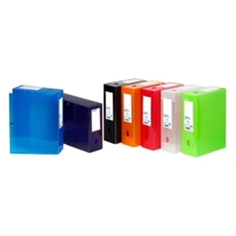 Carrefour boîte de classement A4 dos 10 cm