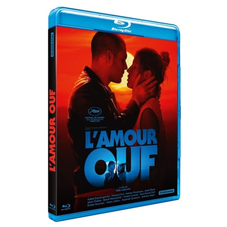 Blu ray l'amour ouf