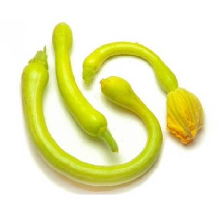 Courgette trompette vrac