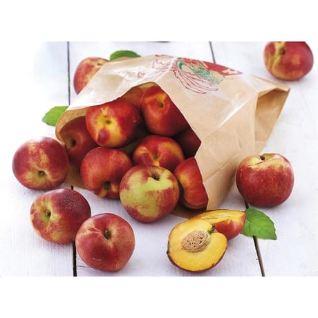 Nectarine jaune vrac