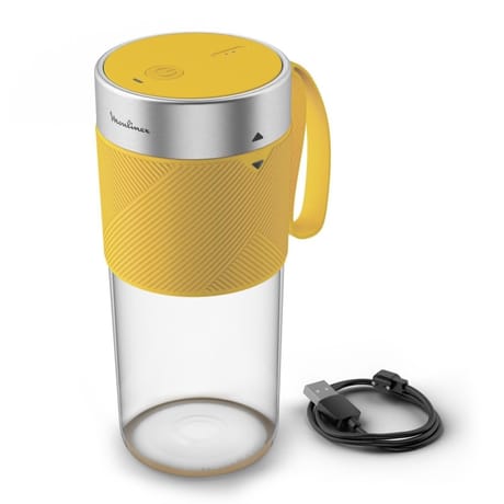 Moulinex mini blender Lightmix LM1C0210