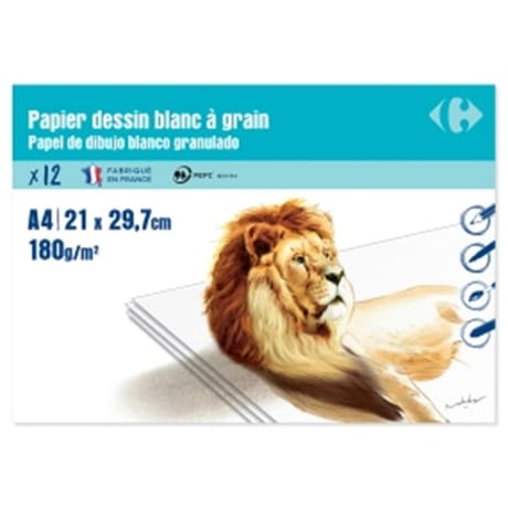 Carrefour pochette dessin A4 à grain 210x297 12 feuilles 180 grammes