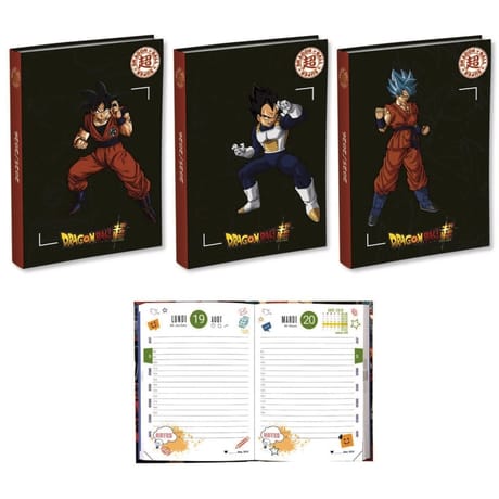 Agenda scolaire 12X17 1J/P ECKO