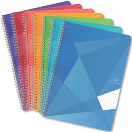 Carrefour cahier spirale 21x29.7 cm 100 pages petits carreaux