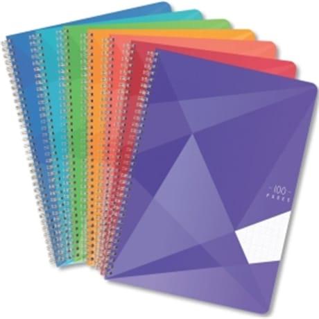 Carrefour cahier 21x29.7 cm 100 pages grands carreaux