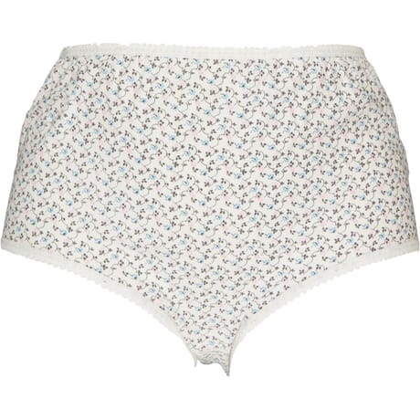 Lot de 2 culottes fantaisie BLEU (NX 2024) T58\60