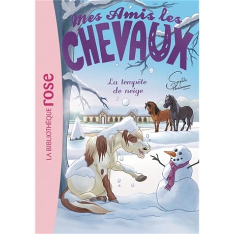 Roman jeunesse - Mes amis les chevaux. Volume 25, la tempête de neige