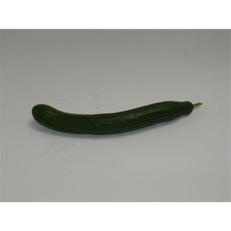 Concombre bio la pièce