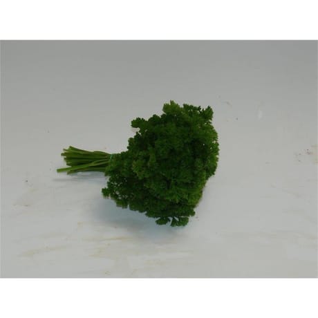 Persil frise bio la botte
