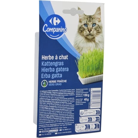 Carrefour Companino herbe à chat 150g