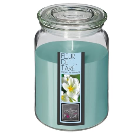 Bougie parfumée Nina dans pot en verre fleur de tiaré 510 g