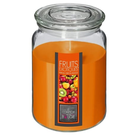 Bougie parfumée Nina dans pot en verre exotique 510 g