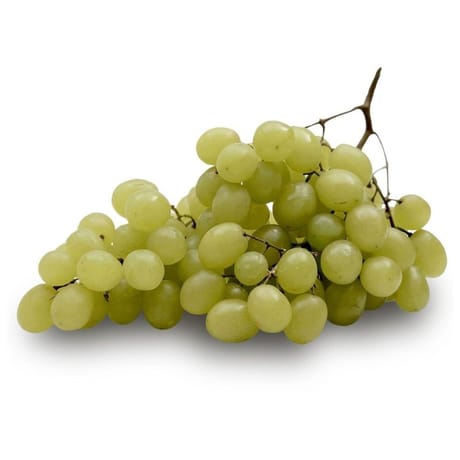 RAISIN BLANC SANS PEPIN BARQUETTE 500G CARREFOUR LE MARCHE