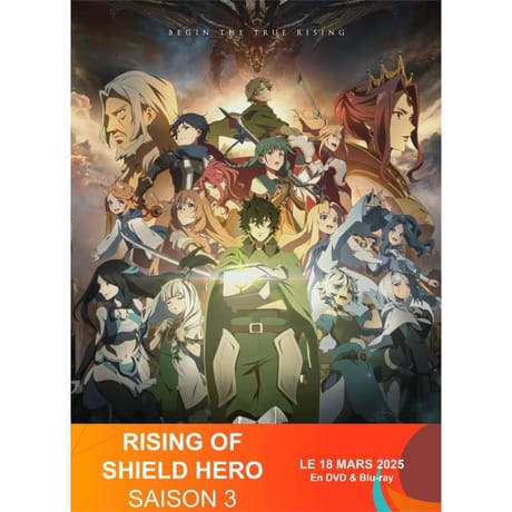 Dvd the rising of the shield hero saison 3