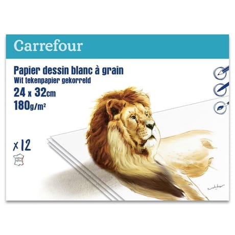 Carrefour pochette dessin à grain 24x32 12 feuilles 180 grammes