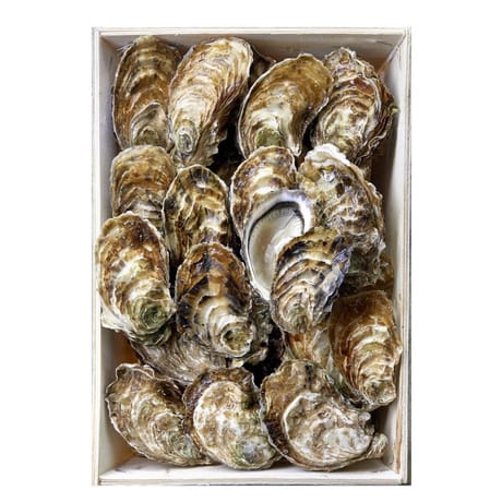 Huîtres de Bouzigues Bassin de Thau N°2 FILIERE QUALITE CARREFOUR la bourriche de 24 huîtres