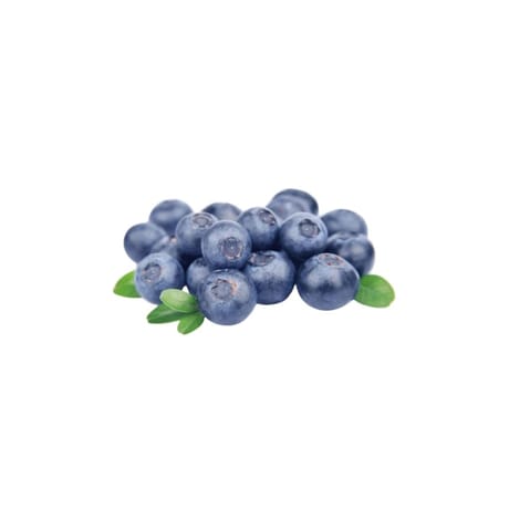 MYRTILLE BIO BARQUETTE 125G