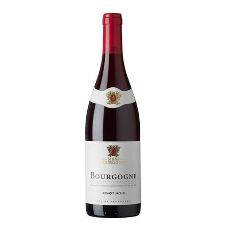 Bourgogne Pinot Noir Rouge Signé Bourgogne 13% Vol. 75 cl