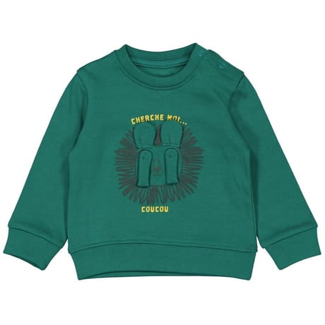 Sweat manches longues garçon SAPIN 24MOIS
