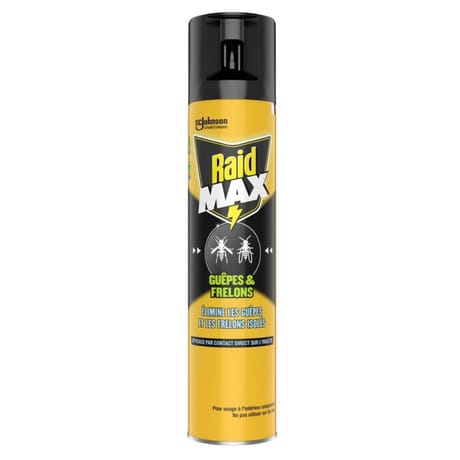 Raid max aérosol guêpes & frelons 300ml