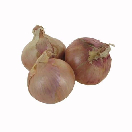 Oignon Roscoff aop filet 500g reflets de France