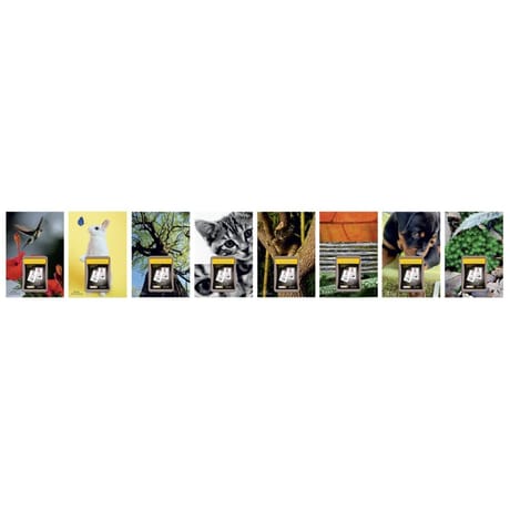 Lecas calendrier ephemeride nature 17x25 1j/page 2024 assorti