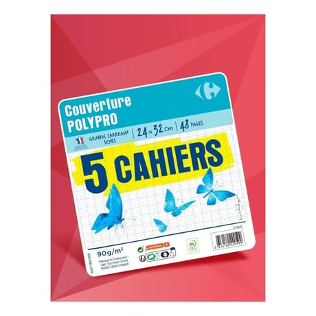 Carrefour lot de 5 cahiers agrafes 240x320 48 pages 90 grammes seyes polypro coloris assortis