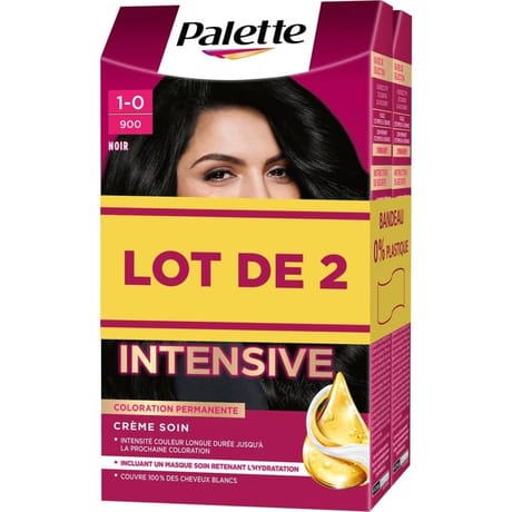 Palette coloration permanente 900 noir lot de 2