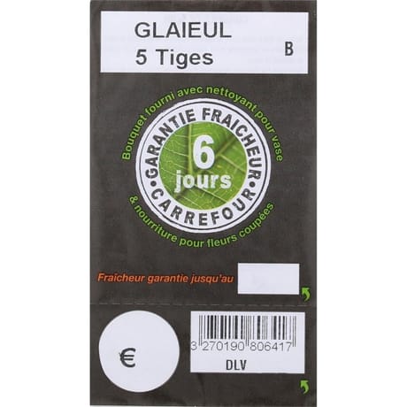 Bouquet de 5 glaïeuls