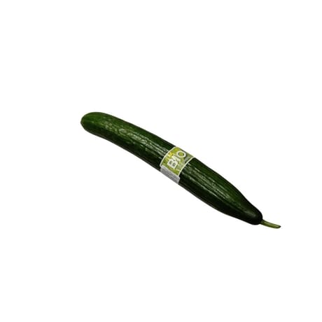 CONCOMBRE BIO