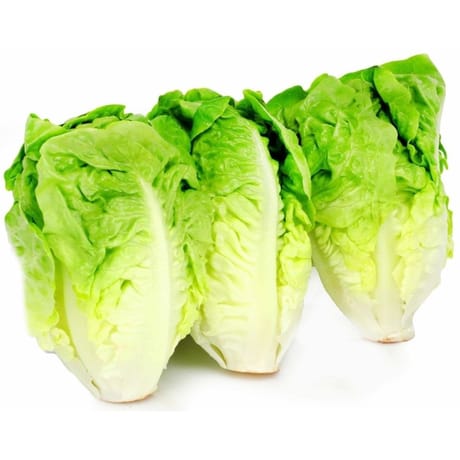 Salade sucrine 3 pieces carrefour le marche