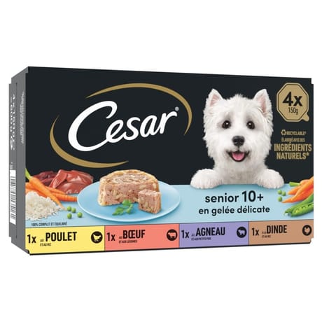 Cesar pâtée pour chien senior 4 variétés en gelée 4x150g