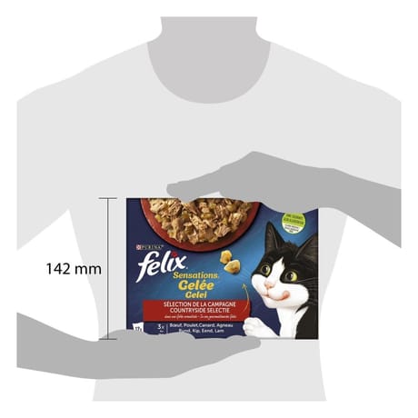 Félix sensations en gelée séléction de la campagne 12x85g