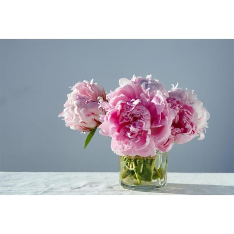 Bouquet trio pivoines roses et germinis