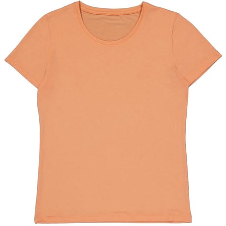 Tee shirt femme manches courtes ROSE T38\40