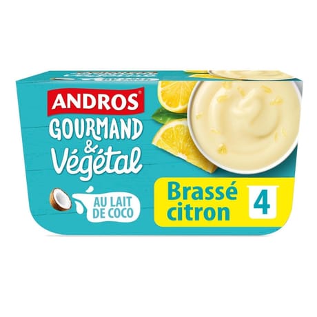 Andros gourmand & végétal brassé citron 4x100g