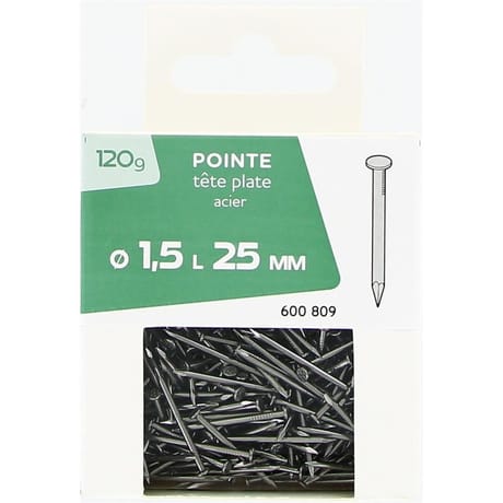Pointe à tête plate 1.5x25mm 120g