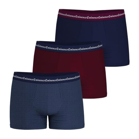 Lot de 3 boxers homme Business print Eminence INDIGO - 2510 T7