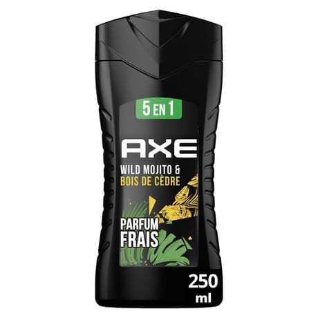 Axe gel douche 5en1 wild 250ml