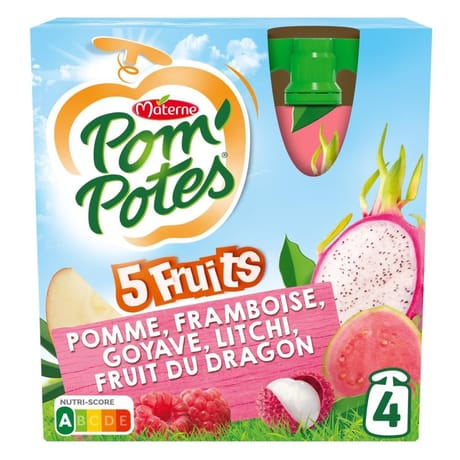 Pom'potes ssa 5 fruits roses 4x90g