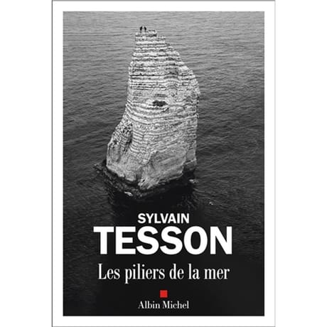 Sylvain Tesson - Les piliers de la mer