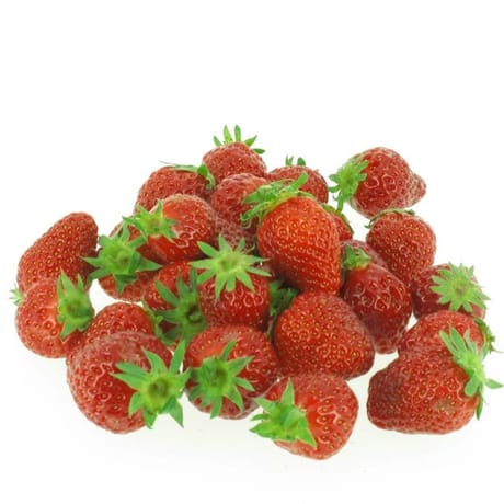 Fraise ronde barquette 250g carrefour le marché