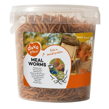 Duvoplus vers de farine 200g