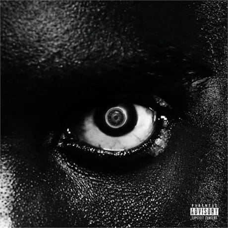 Vinyle damso lithopedion