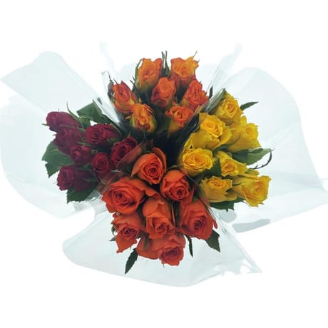 7 roses 40 cm ton chaud