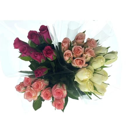 7 roses 40 cm ton froid