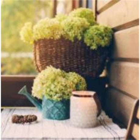 20 serviettes en ouate 33x33cm 3 plis flowers pot