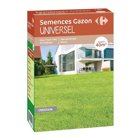 Carrefour gazon universel 1kg