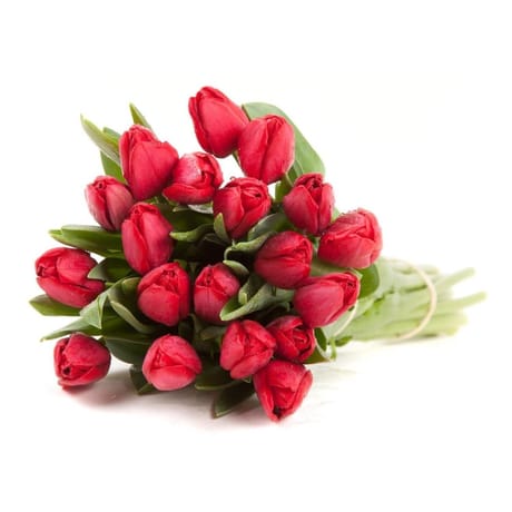 Bouquet de 20 tulipes rouges