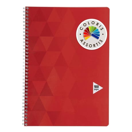 Carrefour cahier 21x29.7 cm 100 pages grands carreaux couverture vernie